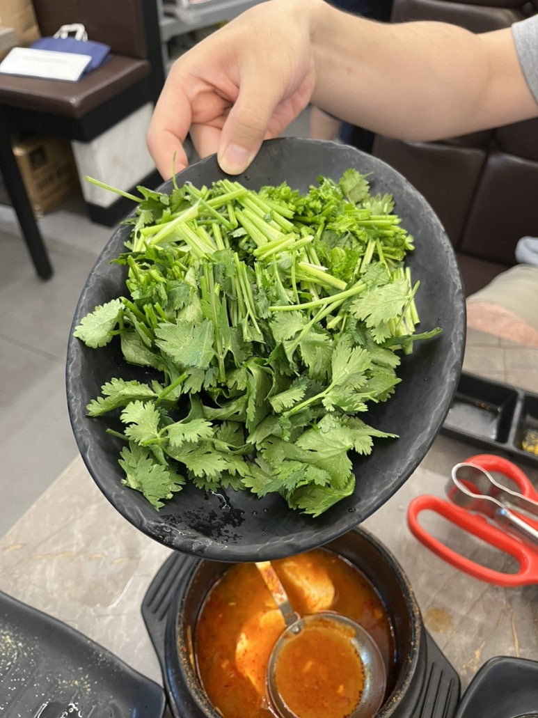양치기 소녀 이미지
