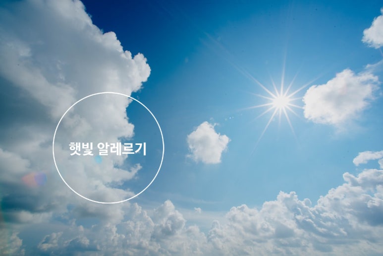 햇빛 이미지