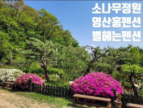별빛정원펜션 이미지