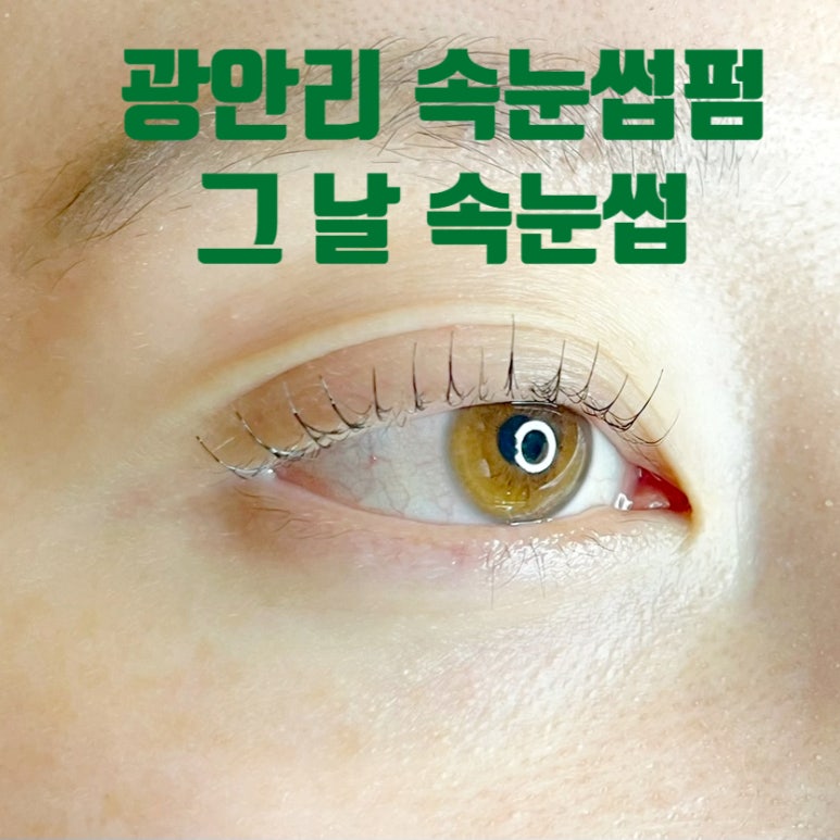 미장원 스잔 이미지