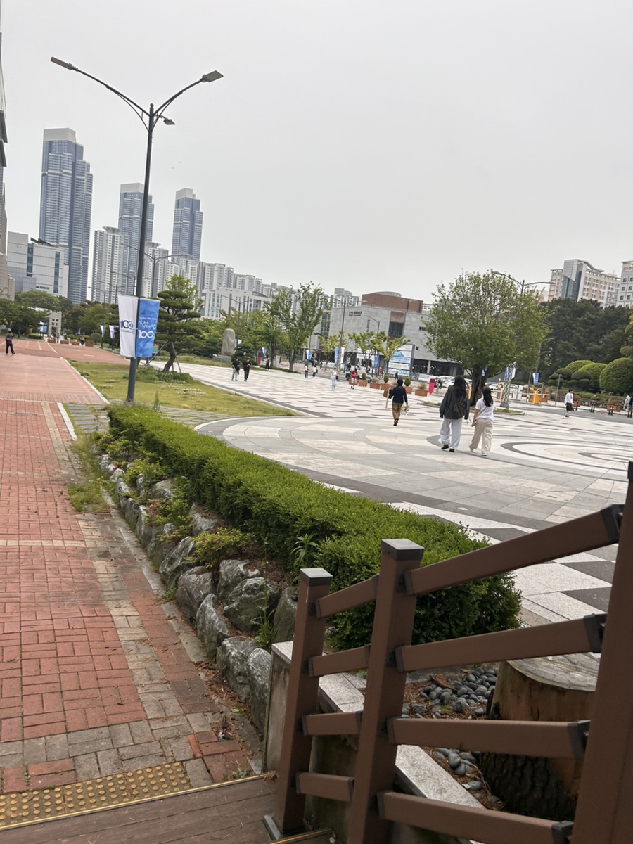 핑크노래연습장 이미지