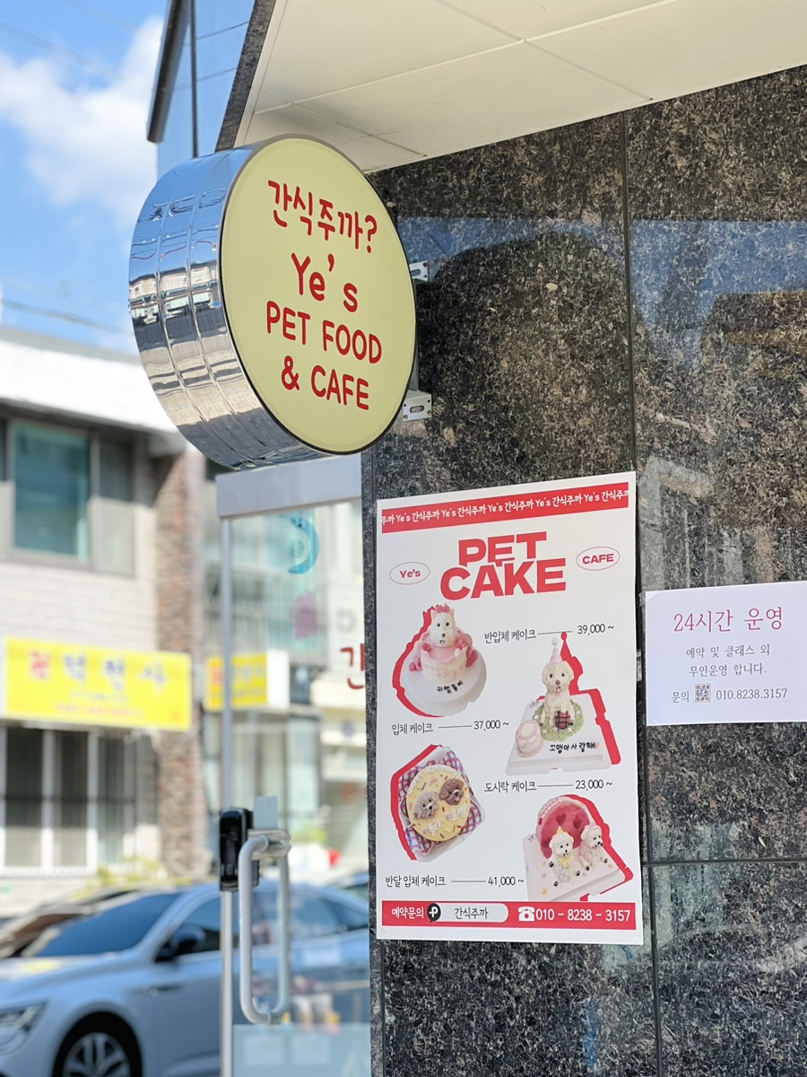부천 강아지 케이크 원데이 클래스: 직접 만들어 선물하세요