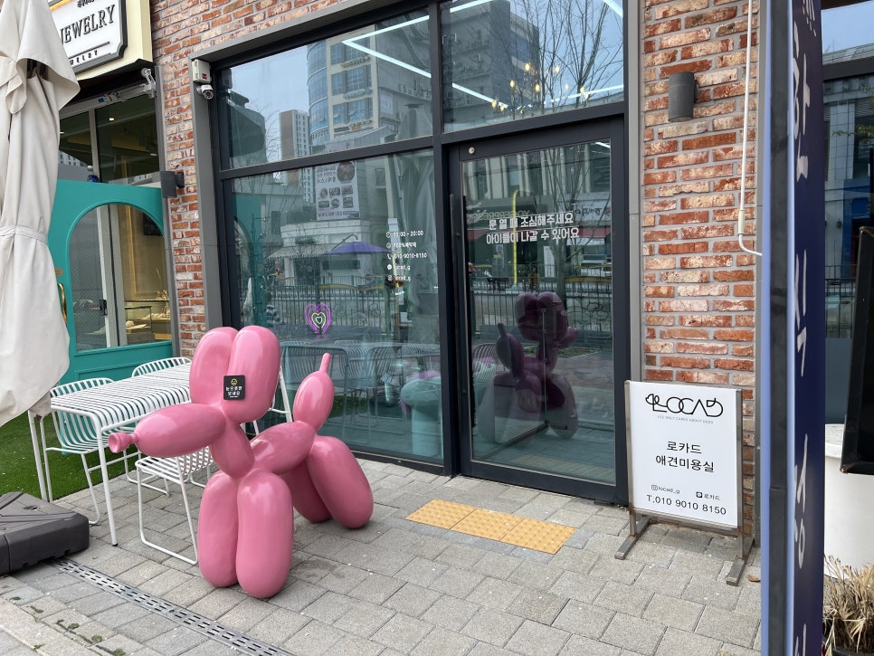 토이 푸들 스포팅 미용 스타일 추천: 김포 로카드 후기 — 사진 9