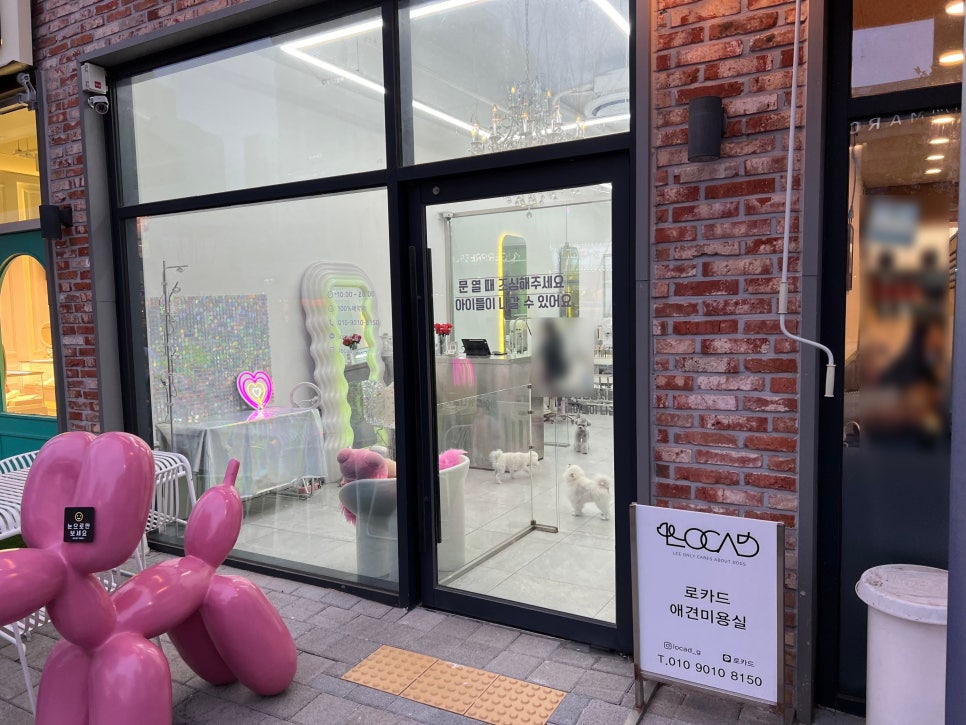 토이 푸들 스포팅 미용 스타일 추천: 김포 로카드 후기 — 사진 10