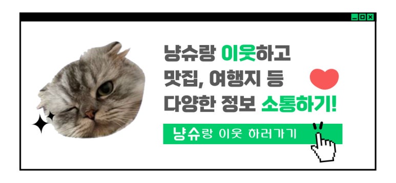 디페드 이미지