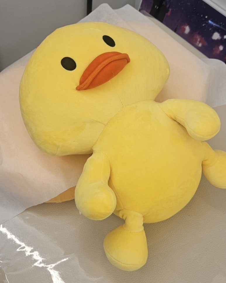 셀라왁싱 이미지