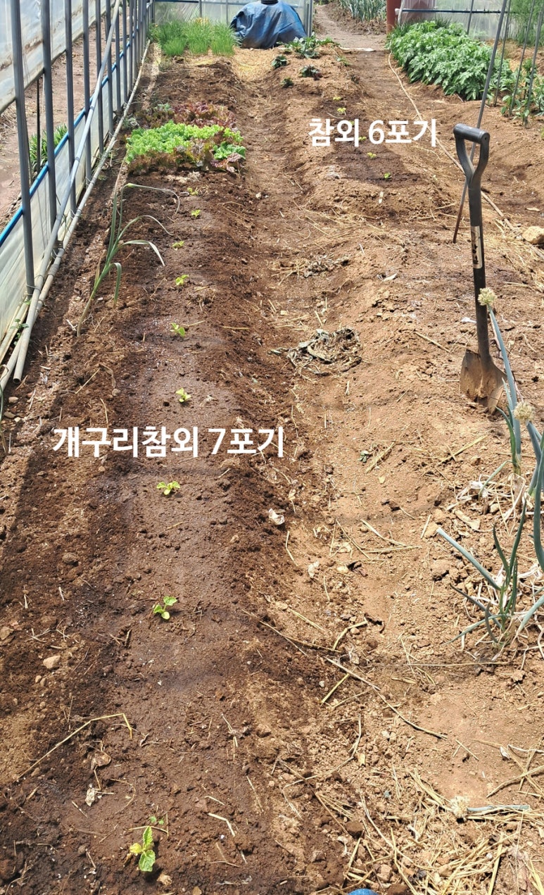 일송원 이미지