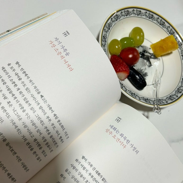 정프룻 이미지