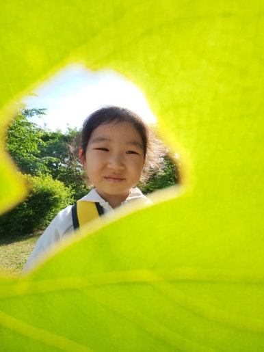 애벌레의꿈 이미지