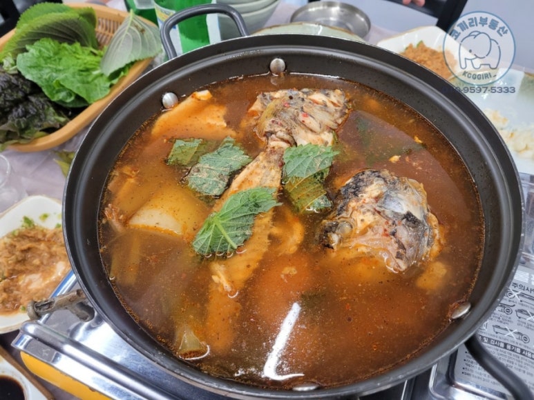 삼천포회타운 이미지