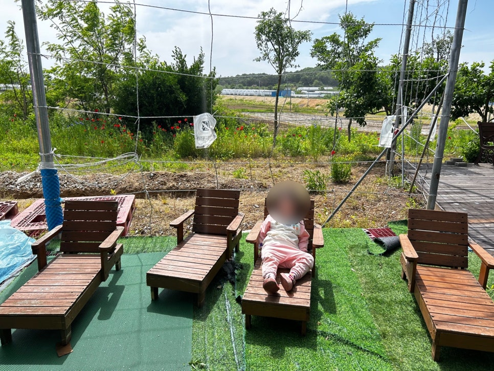 에제르 이미지