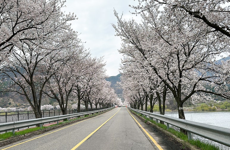 안터686 이미지