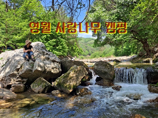 사랑나무 캠핑장 이미지