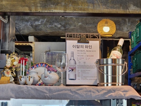 글라이던 이미지