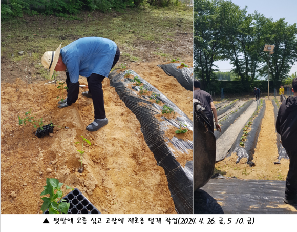 이*재 이미지