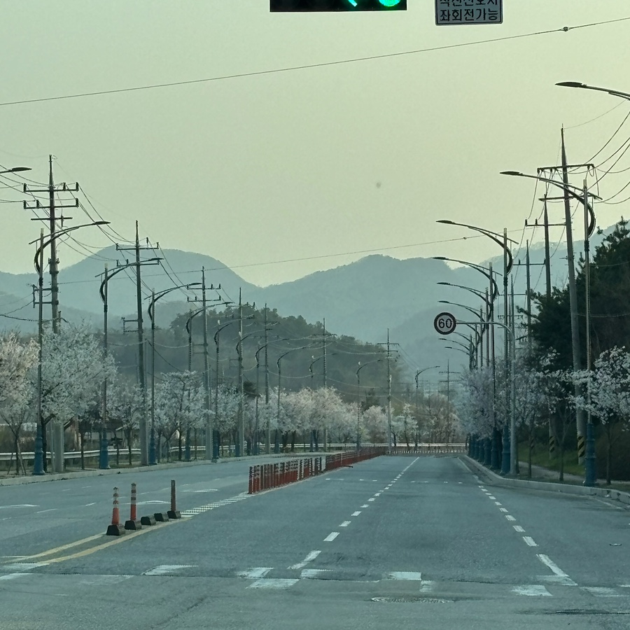 마라야기업도시점 이미지