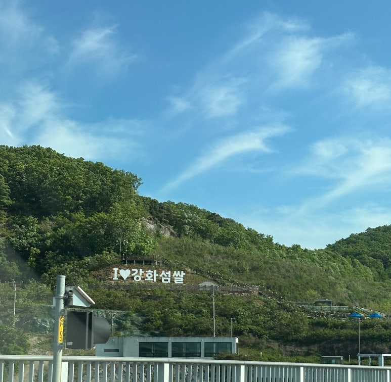 카페인 분재 이미지
