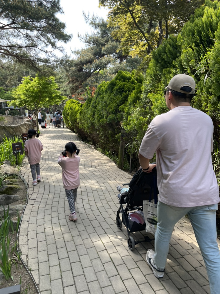 파파스네이처 이미지