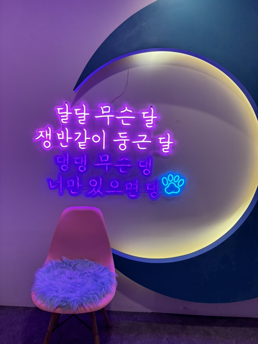 부천 워터독 강아지 수영장 애견카페, 첫 물놀이 추천 — 사진 7