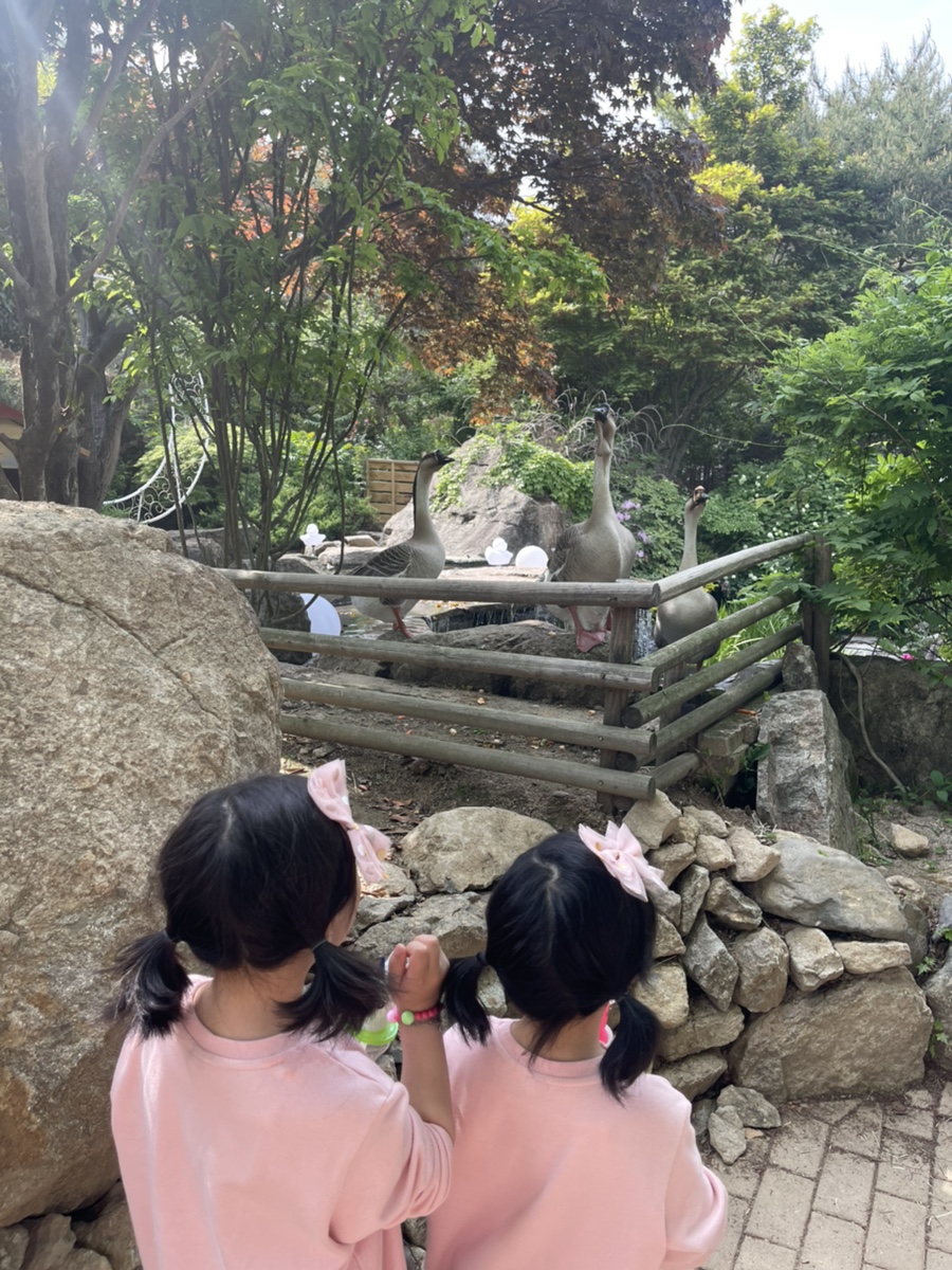 파파스네이처 이미지