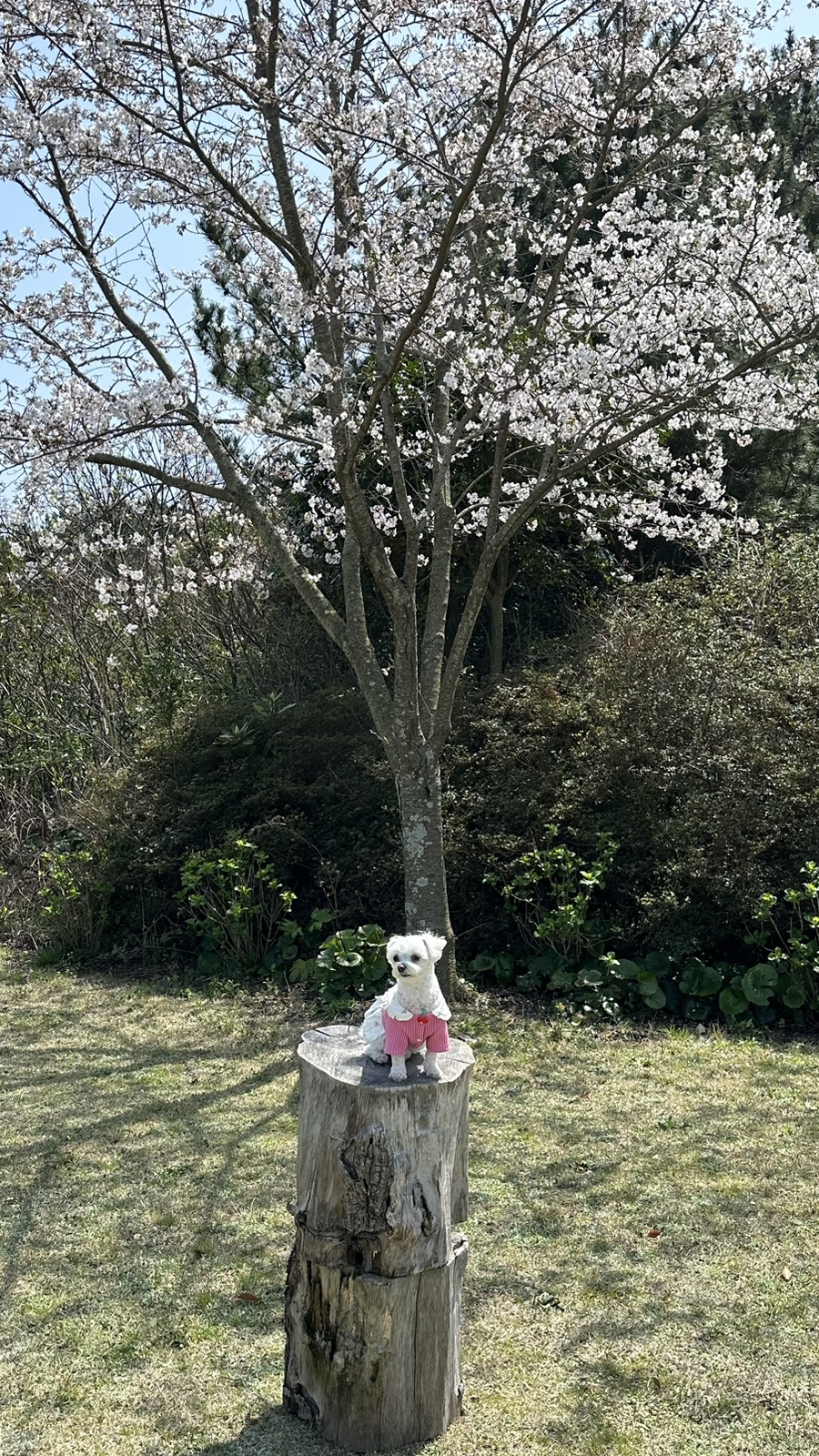 루체테스튜디오 이미지