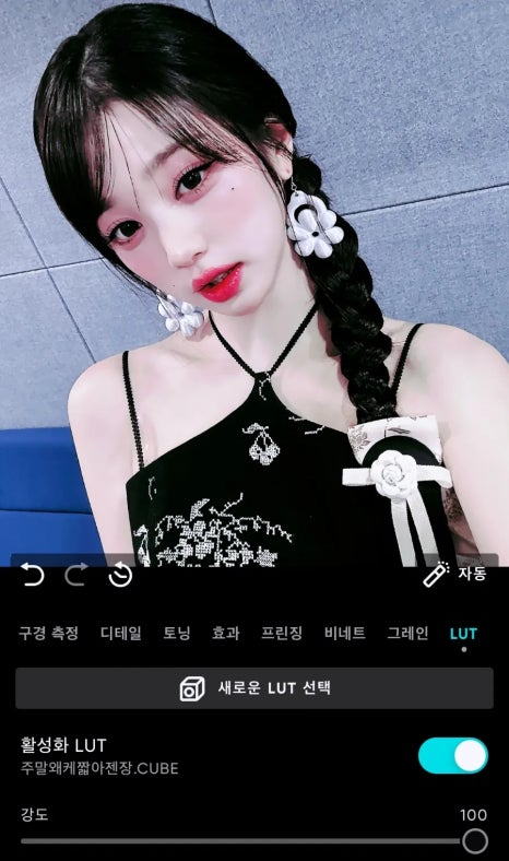 러트(Lut) 이미지