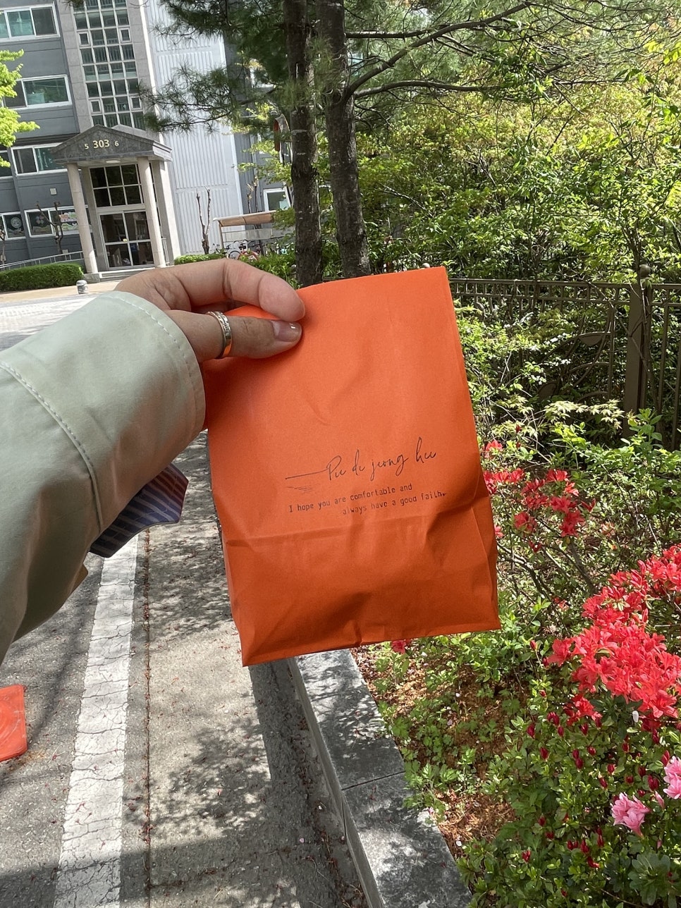 파이드정희 이미지