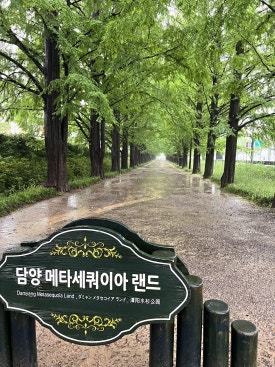 이마트24죽녹원후문점(emart24) 이미지