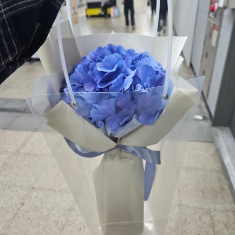 호랭이꽃집 이미지