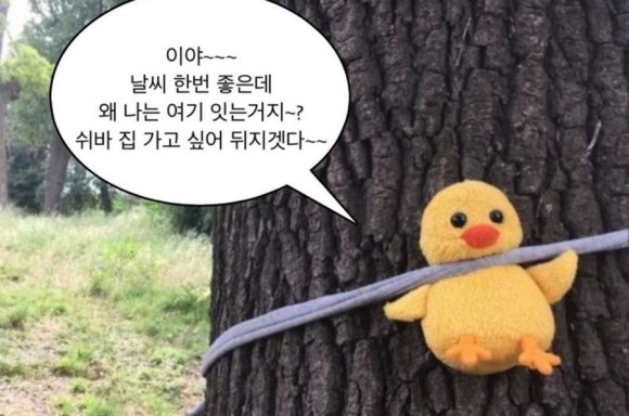 이너피스 이미지