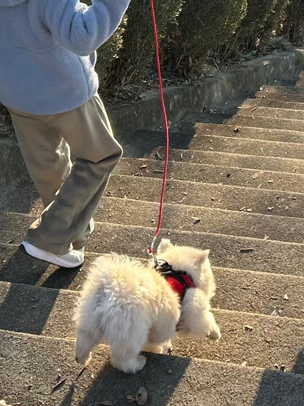 김*복 이미지