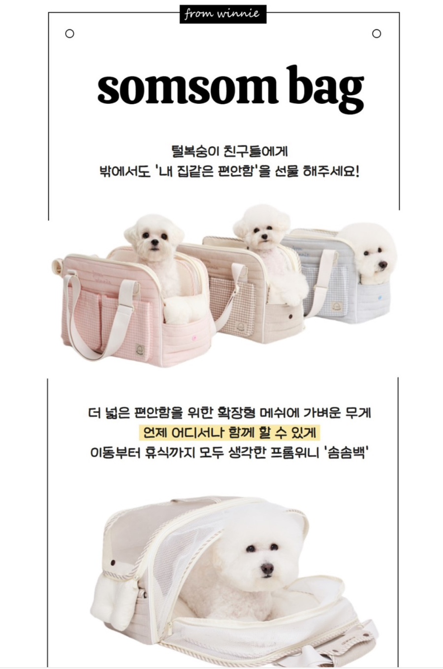프롬위니 이미지