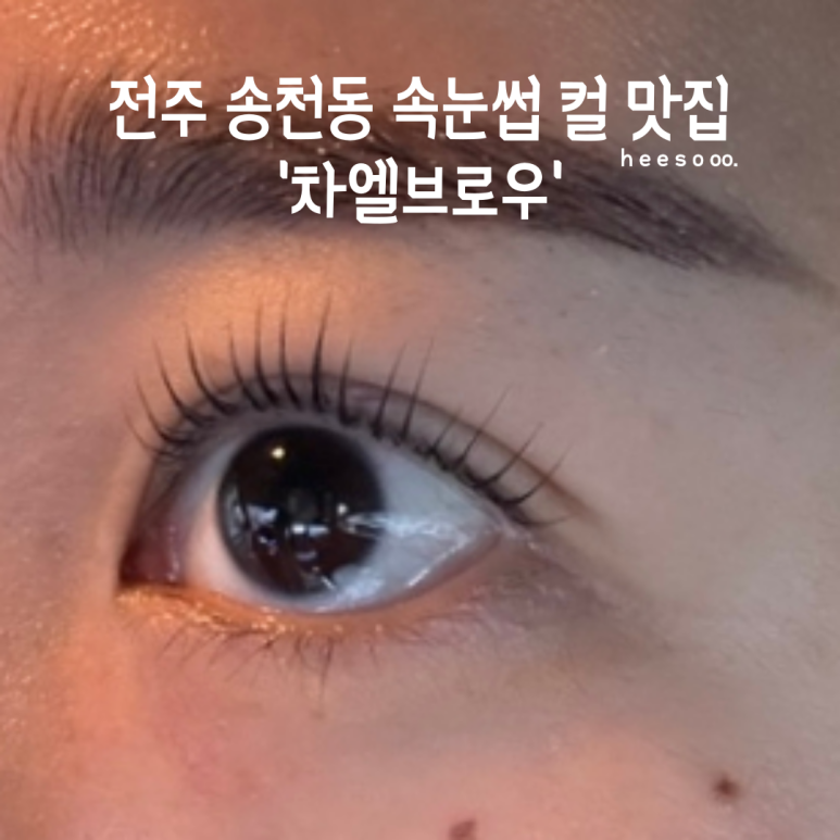차엘브로우 이미지