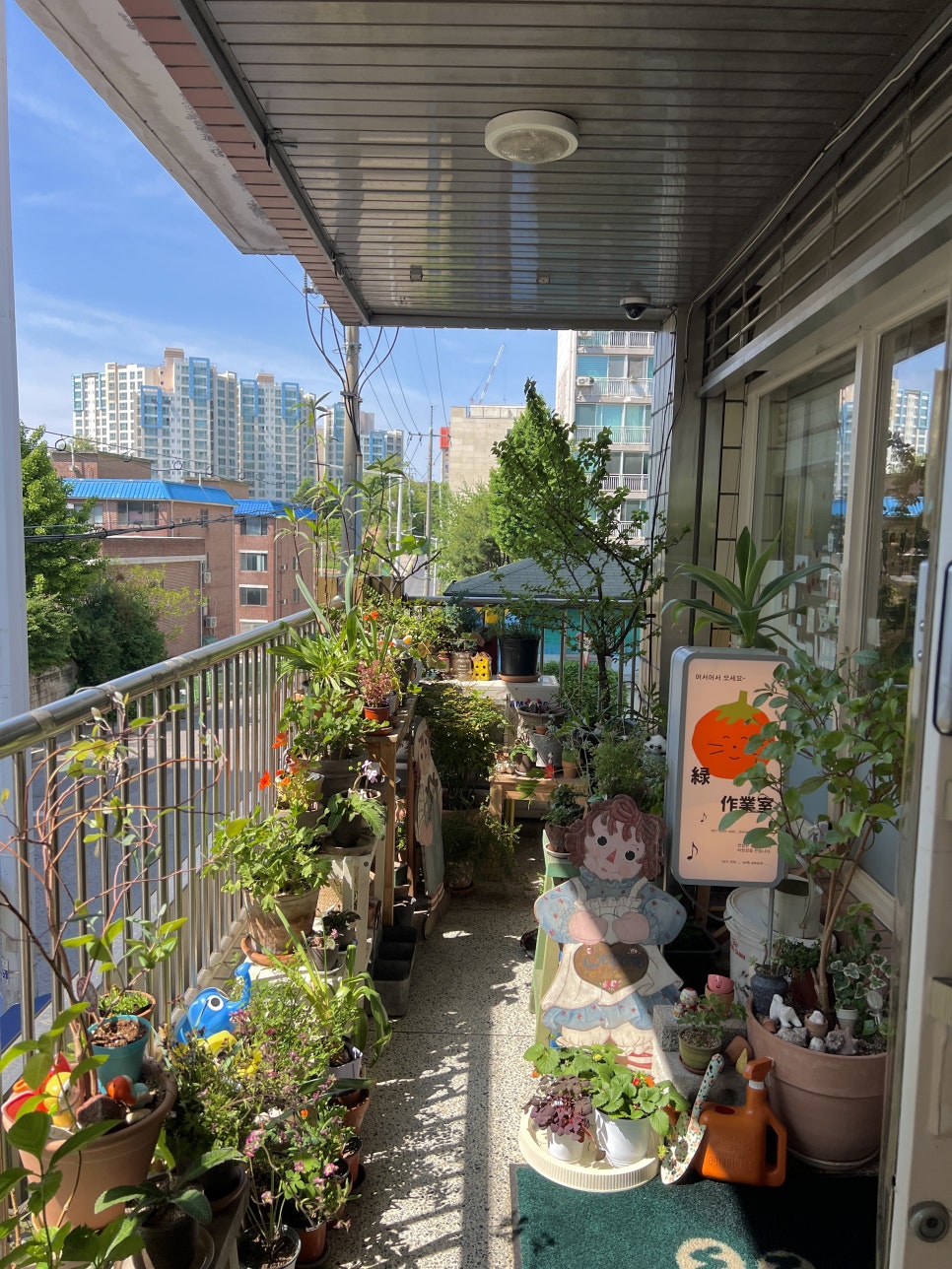 오젤디저트 이미지