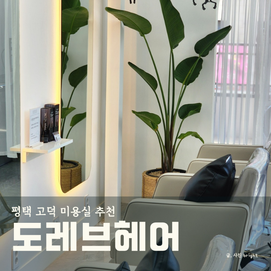 도레브헤어 이미지