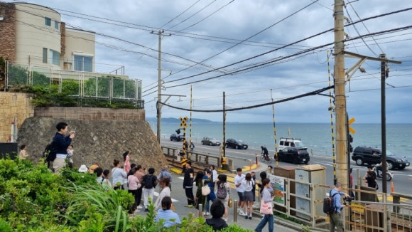 코코마요 이미지