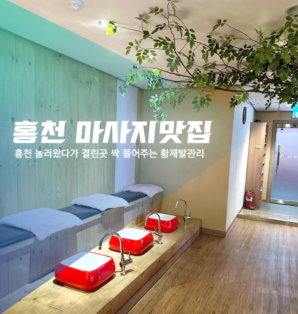 황제발관리 이미지