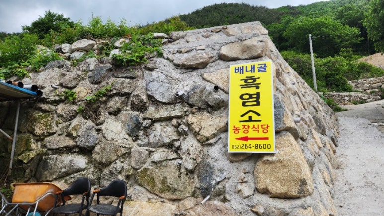 배내골흑염소 이미지