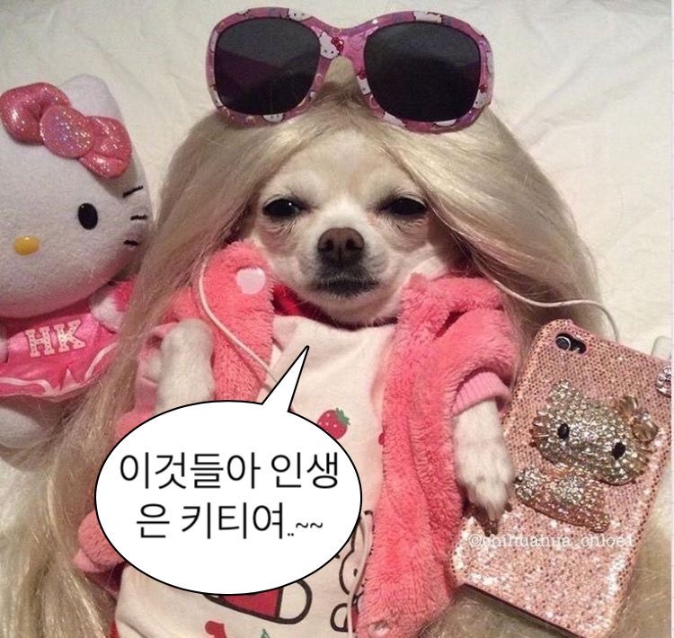 영기획 이미지