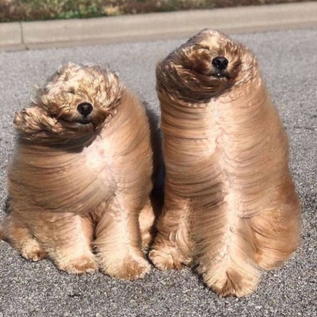 연희샵 이미지
