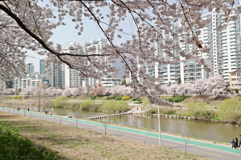 명가국밥 이미지