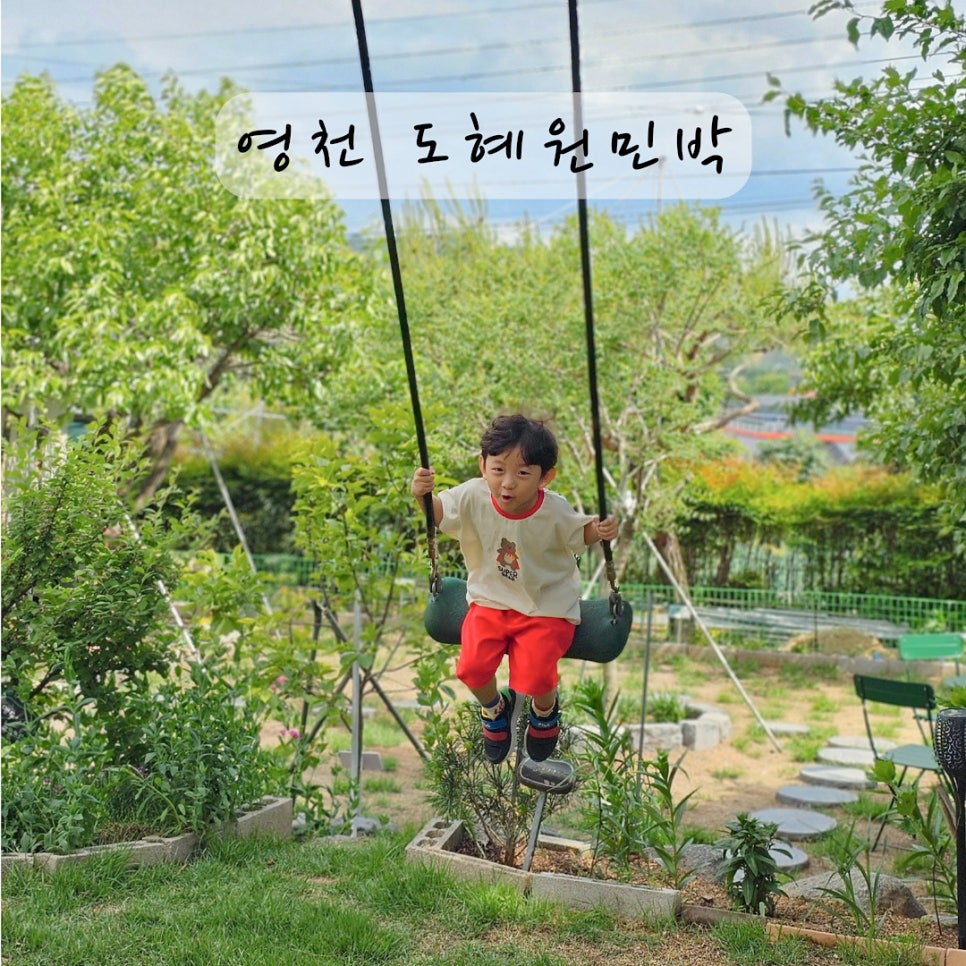 도혜원 민박 이미지
