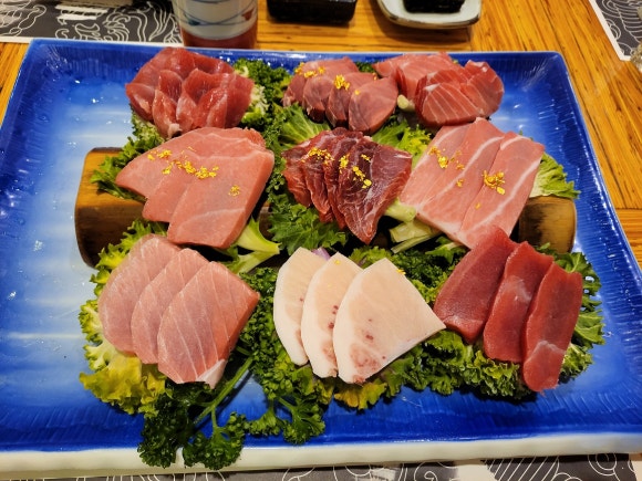 큰물참치 이미지