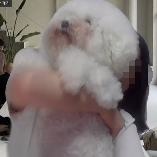 도와세움평생교육센터 이미지