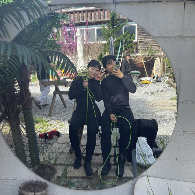 알서프 이미지