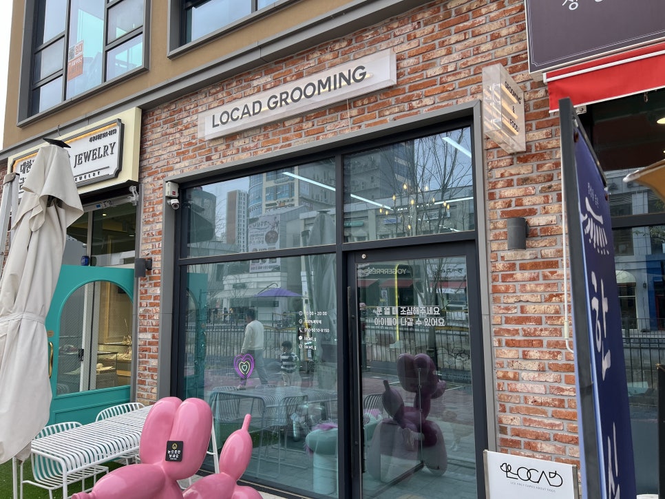 토이 푸들 스포팅 미용 스타일 추천: 김포 로카드 후기 — 사진 8