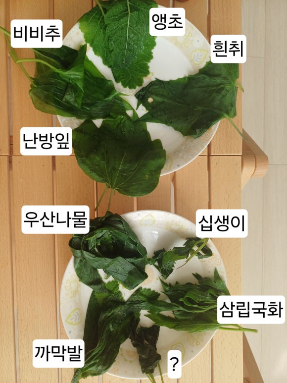 푸른누리 이미지