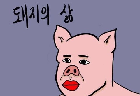 팔봉갯벌체험야영장 이미지