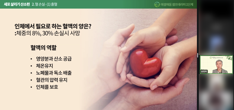 에셀 이미지