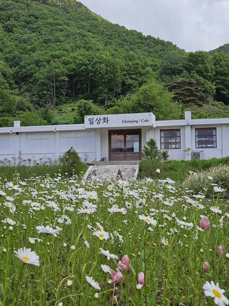 일상화글램핑 이미지